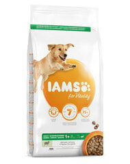 Iams for Vitality täiskasvanud suurt tõugu koertele lambalihaga, 3 kg цена и информация | Сухой корм для собак | kaup24.ee