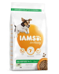 Iams For Vitality для взрослых собак мелких и средних пород с ягненком, 12 кг цена и информация | Сухой корм для собак | kaup24.ee