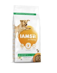 Iams ProActive Health täiskasvanud suurt tõugu koertele kanaga, 3 kg hind ja info | Kuivtoit koertele | kaup24.ee