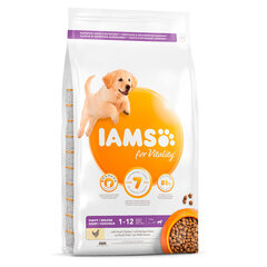 Iams ProActive Health для щенков крупных пород с курицей, 12 кг цена и информация | Сухой корм для собак | kaup24.ee