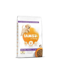 Iams ProActive Health suurt tõugu kutsikatele kanaga, 12 kg цена и информация | Сухой корм для собак | kaup24.ee