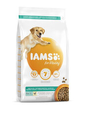 Iams ProActive Health для взрослых собак после стерилизации, склонных к ожирению, с курицей, 12 кг цена и информация |  Сухой корм для собак | kaup24.ee