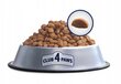 Club 4 Paws Premium Sensitive kuivtoit kassidele kanaga, 2 kg цена и информация | Kuivtoit kassidele | kaup24.ee