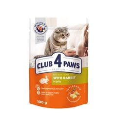 Сlub 4 paws premium влажный корм для кошек - кролик в желе 24 x 100 г цена и информация | Кошачьи консервы | kaup24.ee