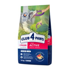 Club 4 Paws Premium aktiivsetele täiskasvanud keskmist tõugu koertele, 5 kg цена и информация | Сухой корм для собак | kaup24.ee