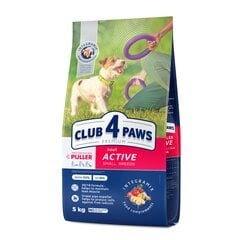 Club 4 Paws Premium väikest tõugu aktiivsetele täiskasvanud koertele, 5 kg цена и информация | Сухой корм для собак | kaup24.ee