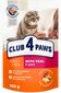 Club 4 Paws Premium niiske kassitoit - Vasikaliha kastmes, 24 x 100 g цена и информация | Konservid kassidele | kaup24.ee