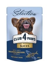 Сlub 4 paws premium selection влажный корм для собак - соус из лосося и скумбрии 12 х 85 г цена и информация | Консервы для собак | kaup24.ee