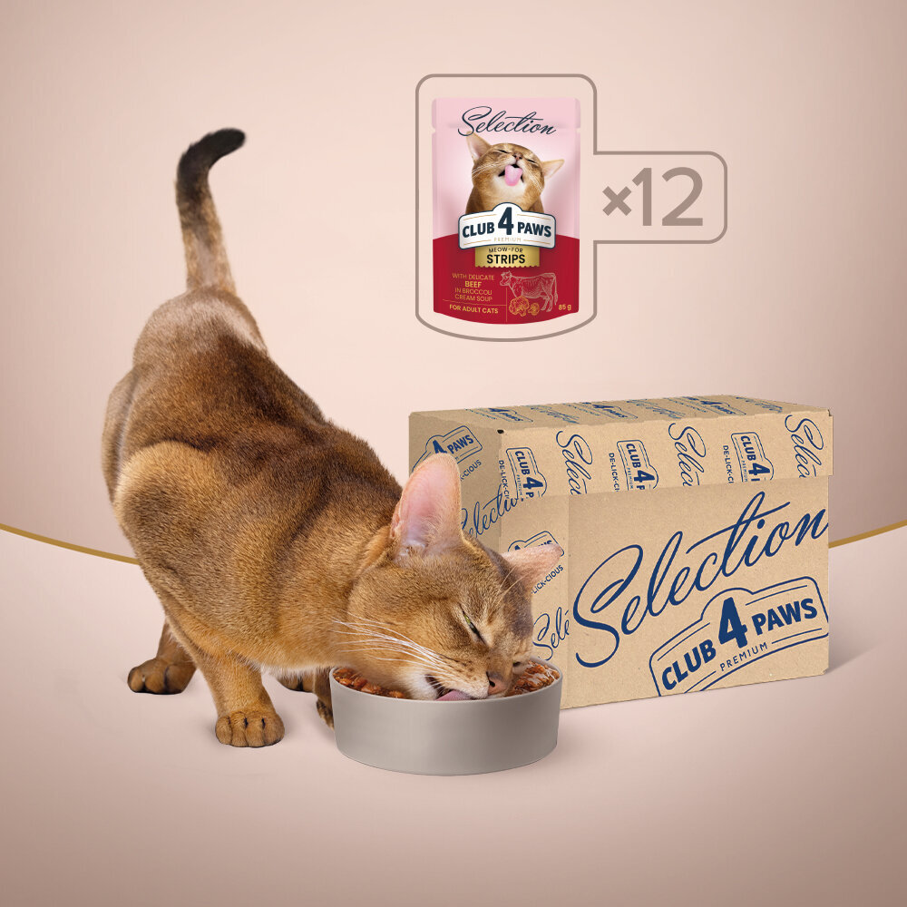 Club 4 Paws Premium Selection niiske kassitoit - Veiseliha brokoli kreemjas supis, 12 x 85g hind ja info | Konservid kassidele | kaup24.ee