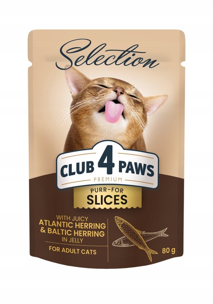 Club 4 Paws Premium Selection niiske kassitoit - heeringa ja kilu želee, 12 x 80g цена и информация | Konservid kassidele | kaup24.ee