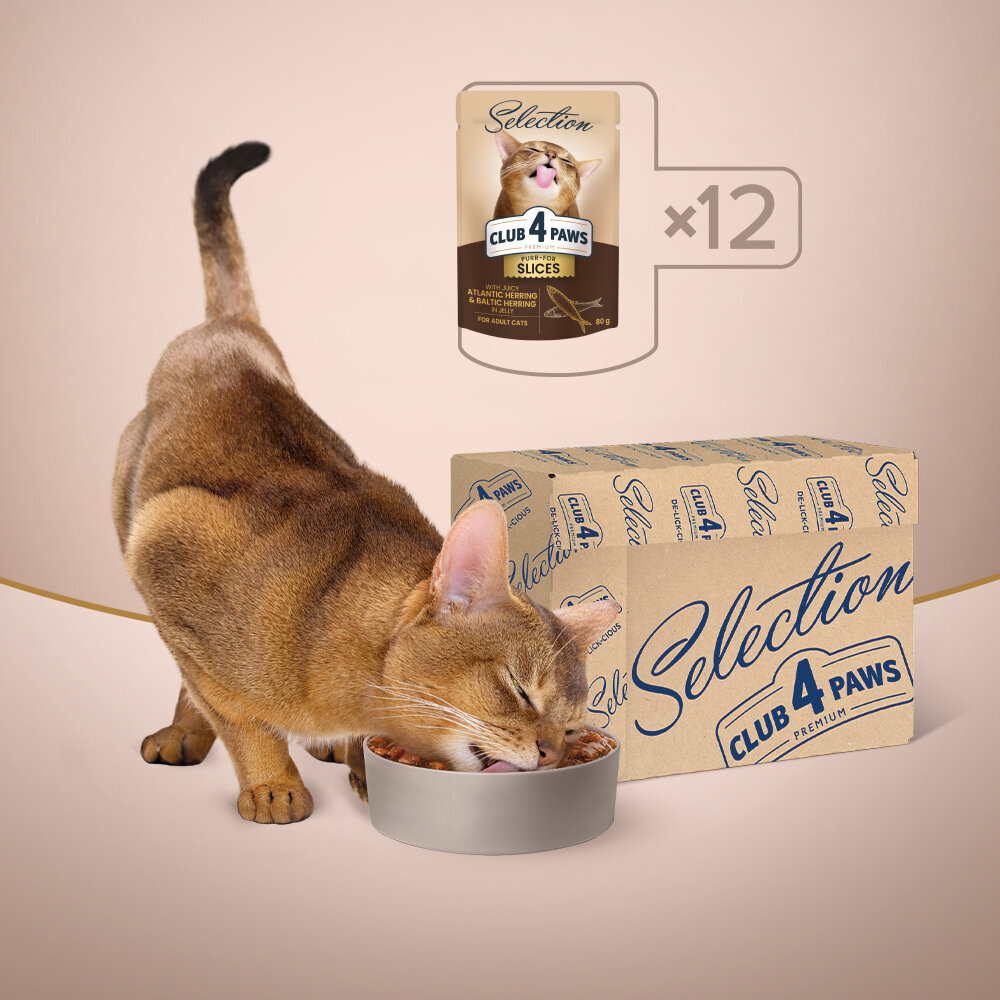 Club 4 Paws Premium Selection niiske kassitoit - heeringa ja kilu želee, 12 x 80g hind ja info | Konservid kassidele | kaup24.ee