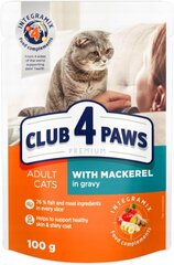 Club 4 paws premium - влажный корм для кошек скумбрия в соусе 24 x 100 г цена и информация | Кошачьи консервы | kaup24.ee