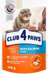 Club 4 paws premium влажный корм для кошек- лосось в желе 24 x 100 г цена и информация | Кошачьи консервы | kaup24.ee