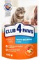 Club 4 Paws Premium niiske kassitoit - lõhe tarretis, 24 x 100 g hind ja info | Konservid kassidele | kaup24.ee