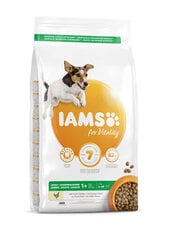 Iams ProActive Health для взрослых собак мелких и средних пород с курицей, 3 кг цена и информация |  Сухой корм для собак | kaup24.ee