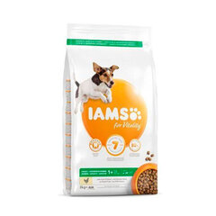 Iams ProActive Health для взрослых собак мелких и средних пород с курицей, 3 кг цена и информация |  Сухой корм для собак | kaup24.ee