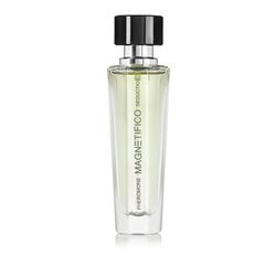 Parfüümvesi feromoonidega Magnetifico Pheromone Seduction EDP meestele, 30 ml hind ja info | Meeste parfüümid | kaup24.ee