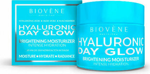 Крем для лица Biovène Hyaluronic Day Glow, 50 мл цена и информация | Кремы для лица | kaup24.ee