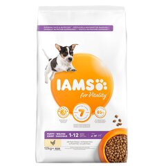 Iams ProActive Health väikest ja keskmist tõugu kutsikatele kanaga, 12 kg hind ja info | Kuivtoit koertele | kaup24.ee