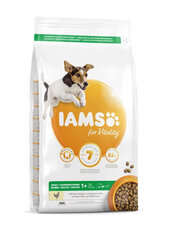 Iams ProActive Health väikest ja keskmist tõugu täiskasvanud koertele kanaga, 12 kg цена и информация | Сухой корм для собак | kaup24.ee