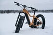 Elektrijalgratas Tunturi eMAX EB-F600, 40 cm, 26" beeži värvi hind ja info | Elektrirattad | kaup24.ee