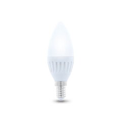 LED pirn E14 C37 10W 230V 3000K 900lm keraamiline Forever Light цена и информация | Лампочки | kaup24.ee