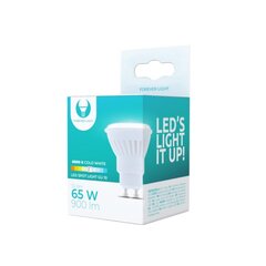 LED lemputė GU10 10W 230V 6000K 900lm keraminė Forever Light цена и информация | Лампочки | kaup24.ee