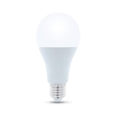 LED lemputė E27 A65 15W 230V 3000K 1450lm Forever Light цена и информация | Лампочки | kaup24.ee