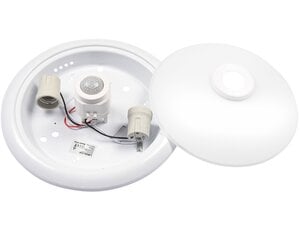 Led-lux laelamp AL-621 цена и информация | Потолочные светильники | kaup24.ee