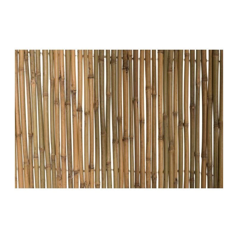 Bambusest tara 4living, 2x3m цена и информация | Aiad ja tarvikud | kaup24.ee