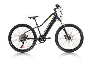 Elektriline jalgratas Goblin Mtb Alloy 24", must цена и информация | Электровелосипеды | kaup24.ee