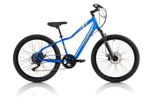 Elektriline jalgratas Hero Mtb Steel 24", sinine цена и информация | Электровелосипеды | kaup24.ee