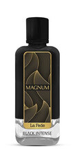 Tualettvesi La Fede Magnum Black Intense EDP meestele, 100 ml цена и информация | Мужские духи | kaup24.ee