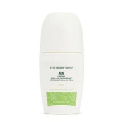 Deodorant The Body Shop Aloe Vera, 50 ml цена и информация | Дезодоранты | kaup24.ee