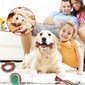 Mänguasi koera hammaste puhastamiseks Yaasier, 7 tk цена и информация | Mänguasjad koertele | kaup24.ee