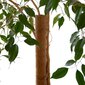 Kookoskiust taimetugi, 120 cm цена и информация | Vaasid, alused, redelid lilledele | kaup24.ee