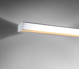 Orlicki Design настенный светильник Arco цена и информация | Настенные светильники | kaup24.ee
