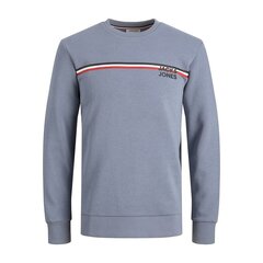 Детская толстовка Jack & Jones JJATLAS CREW NECK JNR 12232669 Синий цена и информация | Свитеры, жилетки, пиджаки для мальчиков | kaup24.ee