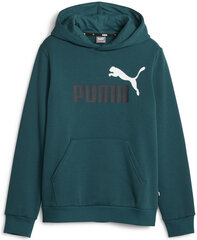 Puma Джемпер Ess + 2 Col Big Logo Green 586987 75 586987 75/152 цена и информация | Свитеры, жилетки, пиджаки для мальчиков | kaup24.ee