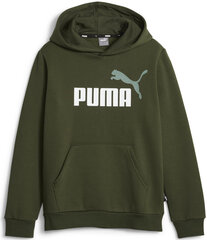 Puma Джемпер Ess + 2 Col Big Logo Green 586987 31 586987 31/128 цена и информация | Свитеры, жилетки, пиджаки для мальчиков | kaup24.ee