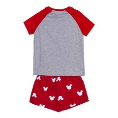 летняя пижама для мальчиков Minnie Mouse Красный Серый цена и информация | Пижамы, халаты для девочек | kaup24.ee