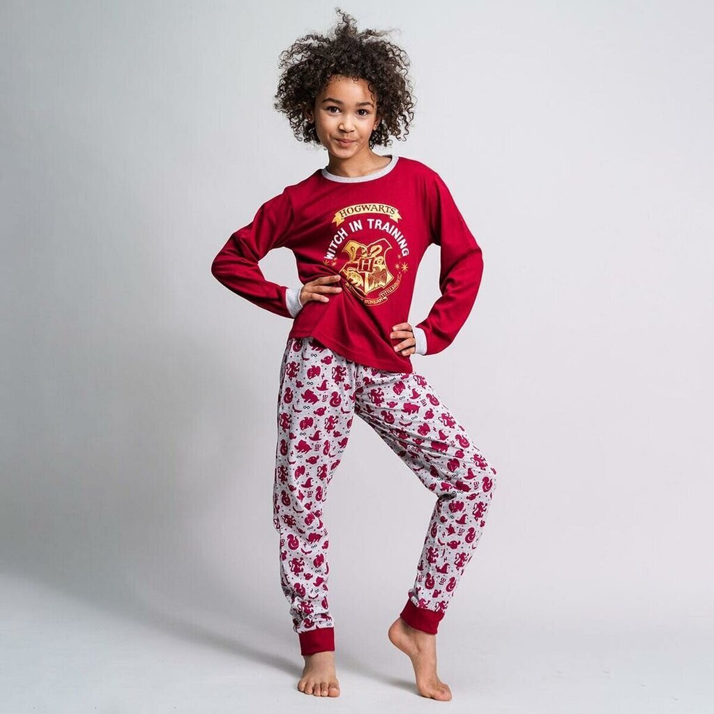 Pidžaama Laste Harry Potter Punane hind ja info | Poiste hommikumantlid ja pidžaamad | kaup24.ee