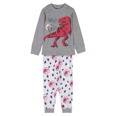 Пижама Детский Jurassic Park Серый цена и информация | Пижамы, халаты для мальчиков | kaup24.ee