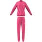 Spordidress lastele Adidas G3S PES TS HM4415 Roosa цена и информация | Tüdrukute retuusid, püksid | kaup24.ee