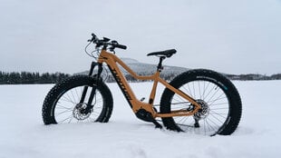 Электровелосипед Tunturi eMAX EB-F600, 45 см, 26 дюймов, бежевый цена и информация | Электровелосипеды | kaup24.ee