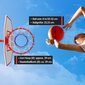 Korvpallirõngas korvpalli ja pumbaga, 2,36 m hind ja info | Korvpallilauad | kaup24.ee