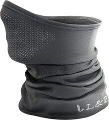 Balaclava L&P, S-M цена и информация | Мужские шарфы, шапки, перчатки | kaup24.ee