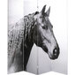 Sirm "Horses", 160x180cm цена и информация | Sirmid ja vaheseinad | kaup24.ee