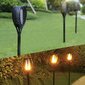 Päikeseenergia aialamp Gardlov, must, 51 cm, 4 tk. цена и информация | Aia- ja õuevalgustid | kaup24.ee