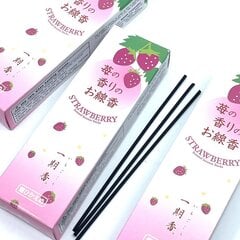 Японские благовония Ichigoko Strawberry, Baieido, 30гр цена и информация | Ароматы для дома | kaup24.ee